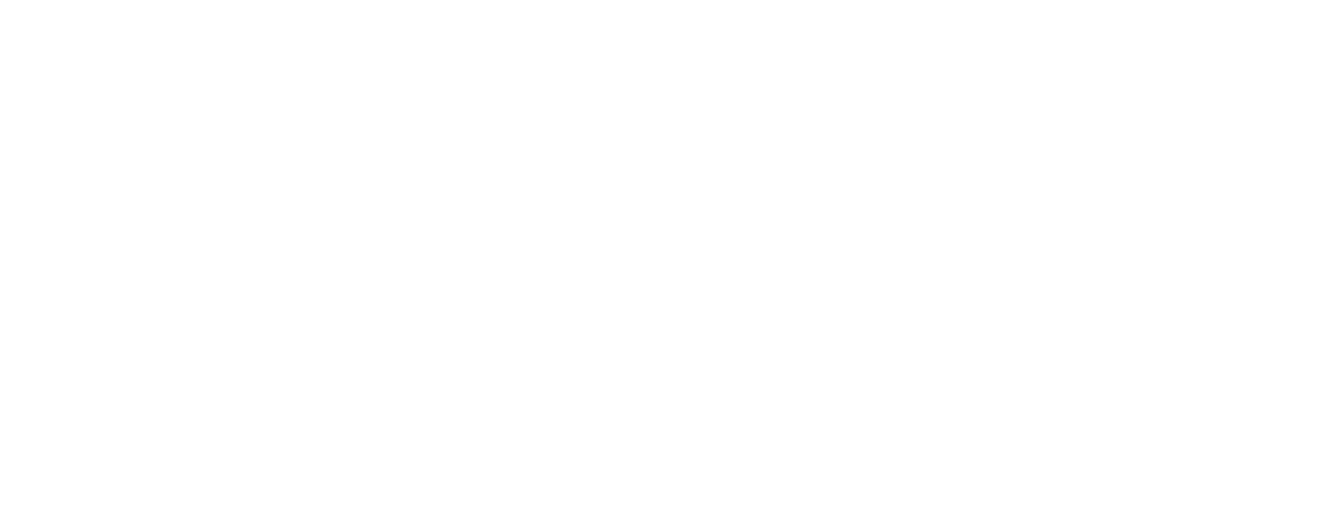 [DEV] Monitor Dementie IJssel- en Vechtstromen